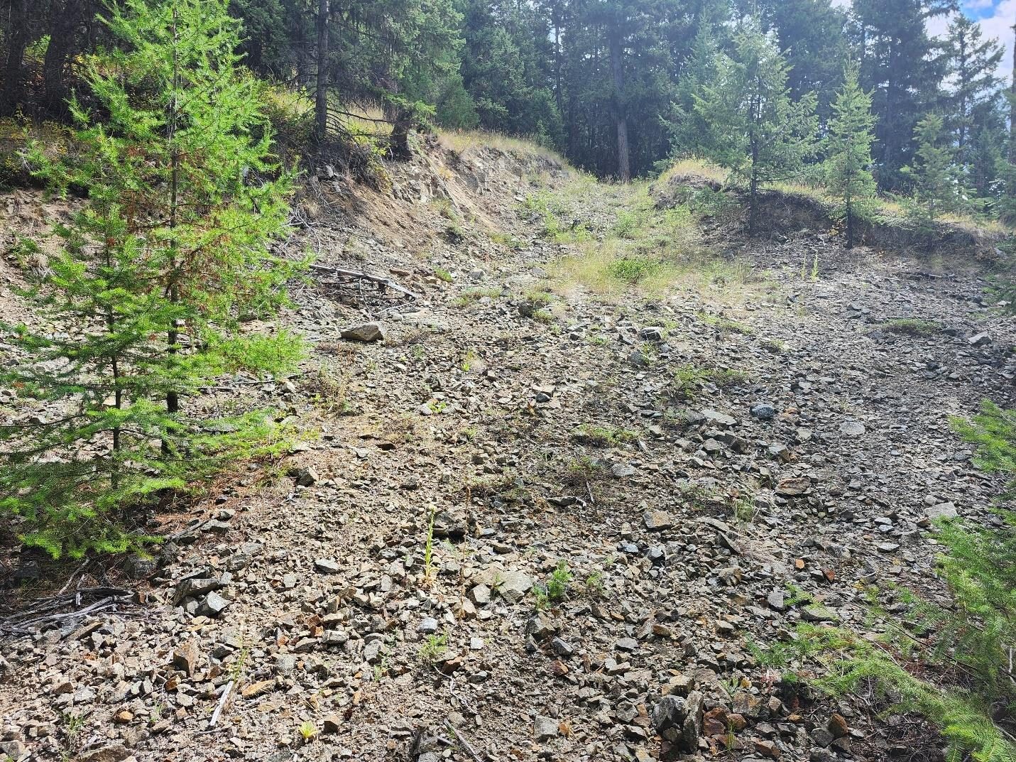 Open cut at the Wombat MINFILE occurrence, Texas Property